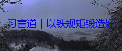 铁规矩锻造习言道以好作风